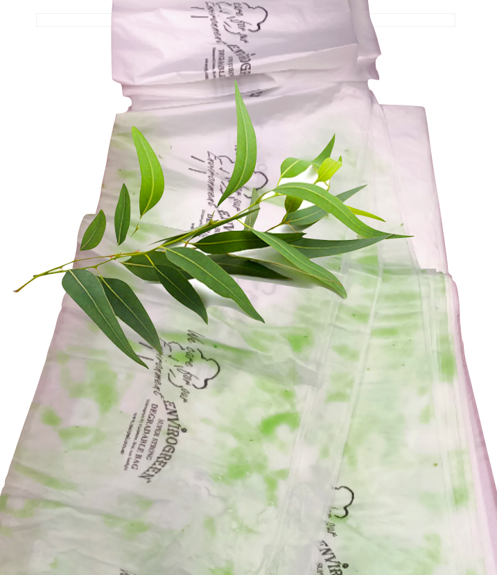 Eucalyptus Scented liners (BBE10) Biodegradable for Sanitary bins, Pack of 10